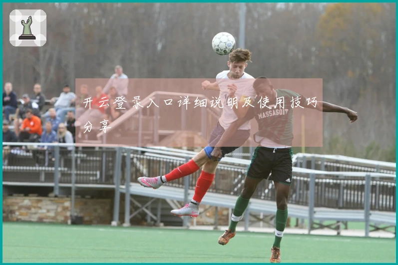 开云登录入口详细说明及使用技巧分享