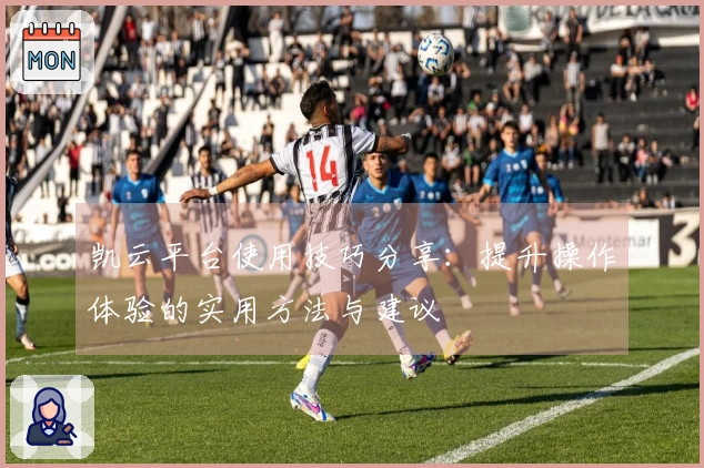 凯云平台使用技巧分享：提升操作体验的实用方法与建议