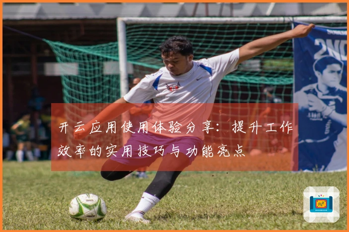 开云应用使用体验分享：提升工作效率的实用技巧与功能亮点